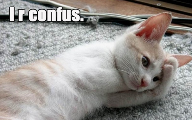 Photo of a white and light brown cat with one paw on its head: "I r confus."