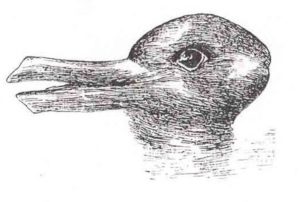 illusion-duck-or-rabbit