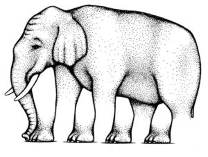 illusion-elephant-legs