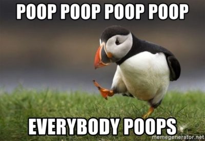 Meme of a puffin walking happily: "Poop poop poop poop. Everybody poops"