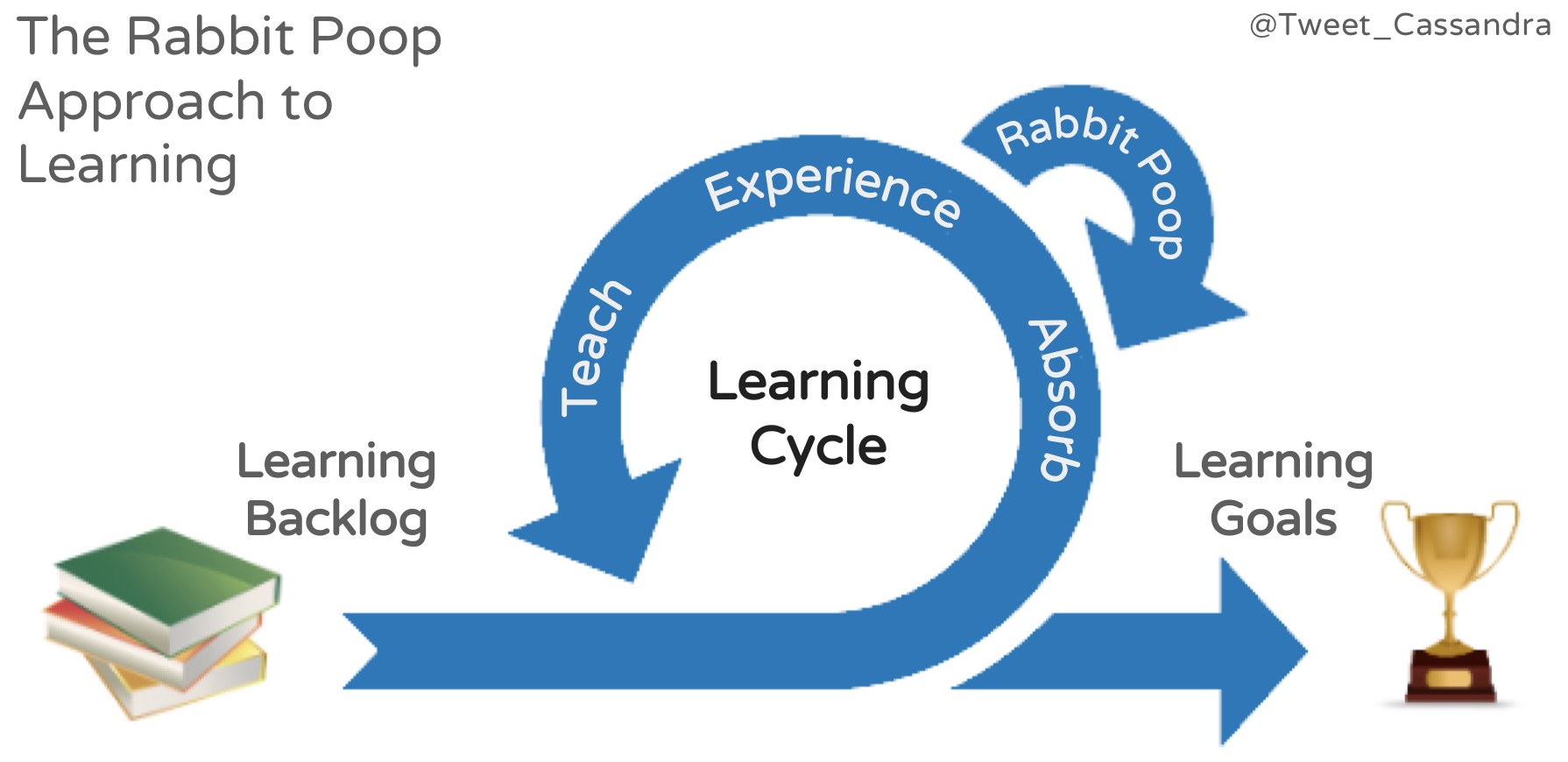 Diagram showing a learning cycle with absorb, experience, and learning stages; there is a loop from "experience" back to "absorb"